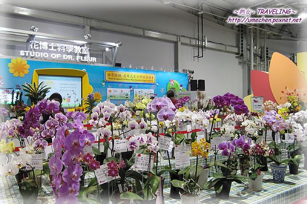 爭豔館-D區.jpg 爭豔館-D區.jpg