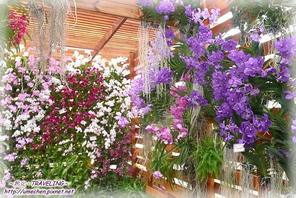 寰宇庭園區-泰國峇里島-3.jpg 寰宇庭園區-泰國峇里島-3.jpg