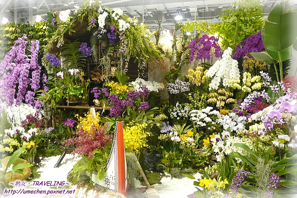 爭豔館-國際展-台南長穎國際-蘭的故鄉-2.jpg