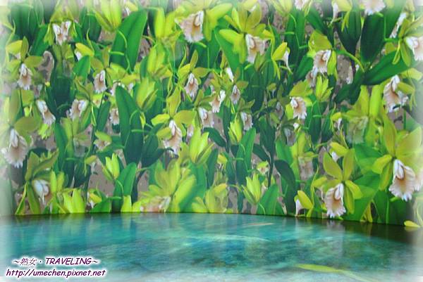 天使生活館-影音劇場-蘭花之美-1.jpg 天使生活館-影音劇場-蘭花之美-1.jpg