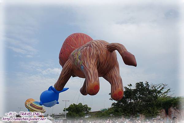 DSC02813.jpg DSC02813.jpg