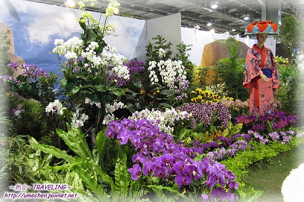 爭豔館-國際展-日本沖繩-5.jpg