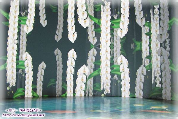 天使生活館-影音劇場-蘭花之美-3.jpg 天使生活館-影音劇場-蘭花之美-3.jpg