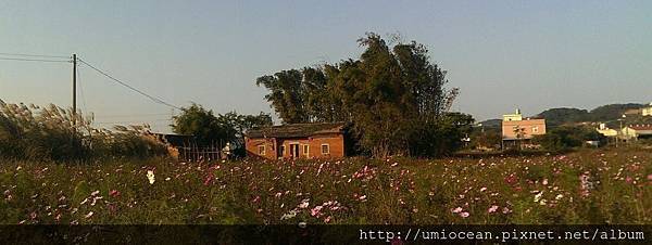 1512052_552088528215744_1287143199_o 1512052_552088528215744_1287143199_o