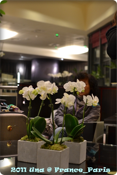 DSC_0003_600 DSC_0003_600