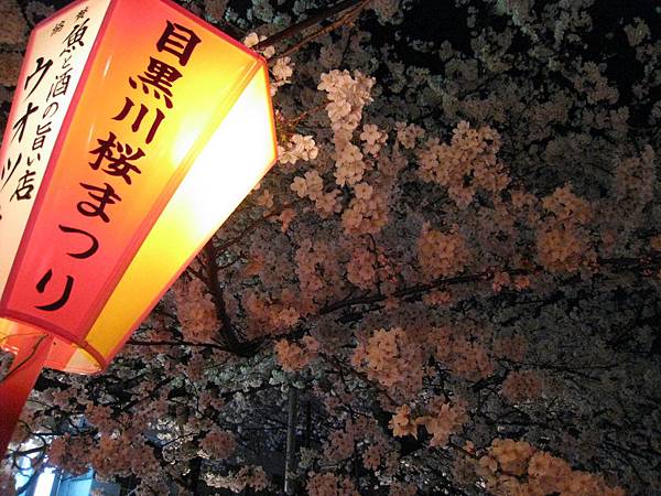 IMG_0855 IMG_0855
