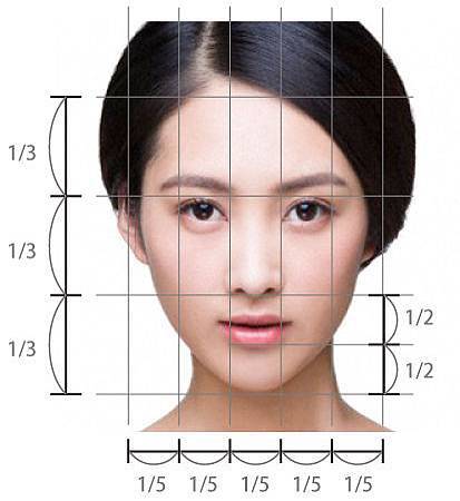 完美比例圖-正面 完美比例圖-正面