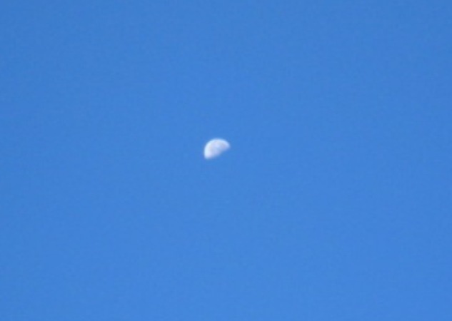 moon1633