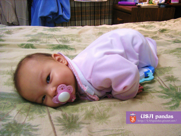 RIMG5711 (2) copy.jpg RIMG5711 (2) copy.jpg