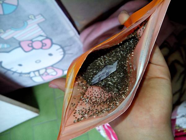 IMG_20140504_120220 試用