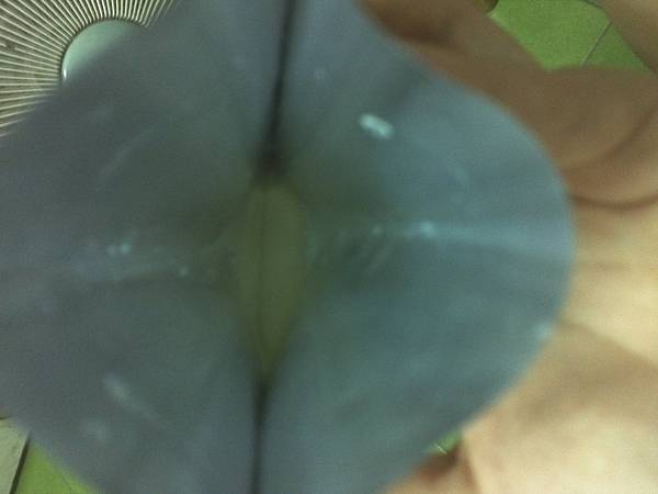 IMG157 試用