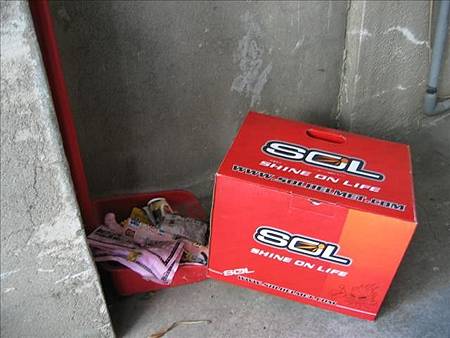 新年的第一天 新年的第一天