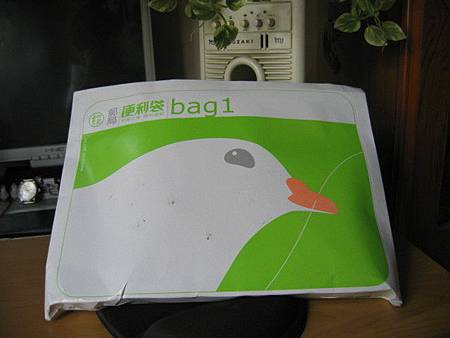 今早鴿子來了 今早鴿子來了