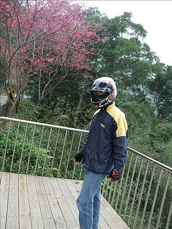 這又是誰? 這又是誰?