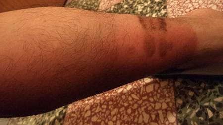 DSC00217.JPG DSC00217.JPG