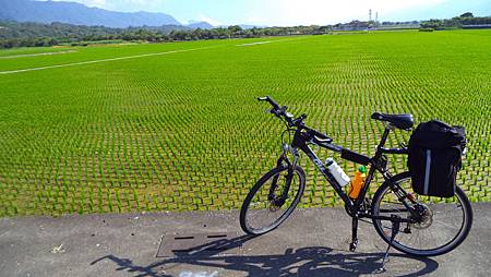 DSC00283.JPG DSC00283.JPG