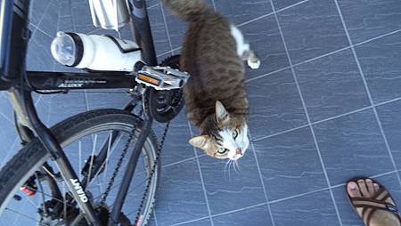 DSC00892.JPG DSC00892.JPG