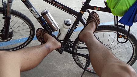 DSC00978.JPG DSC00978.JPG