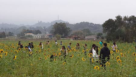 DSC01003.JPG DSC01003.JPG