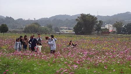 DSC01007.JPG DSC01007.JPG