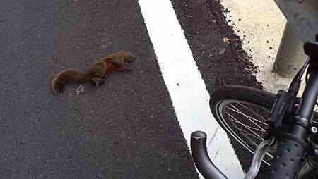 DSC01019.JPG DSC01019.JPG