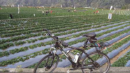 DSC01026.JPG DSC01026.JPG