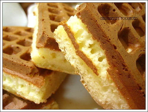 1355305638_65ac4f1251.jpg 1355305638_65ac4f1251.jpg