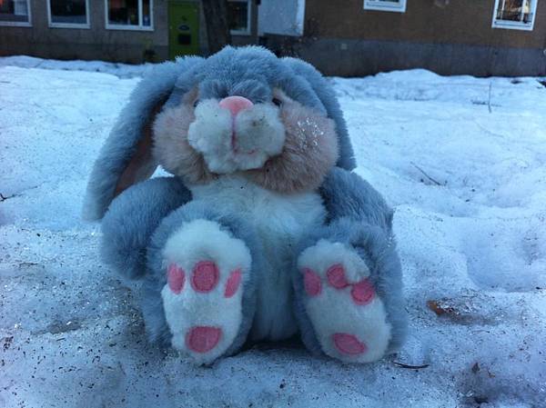 531699_10151488488320690_1768110466_n 531699_10151488488320690_1768110466_n