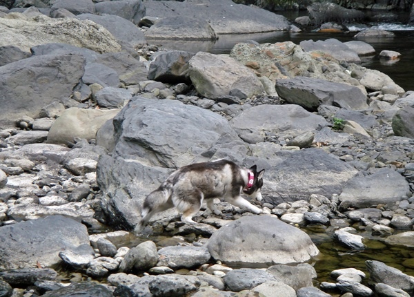 DSC04375.JPG DSC04375.JPG