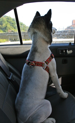 照片 001.jpg 照片 001.jpg