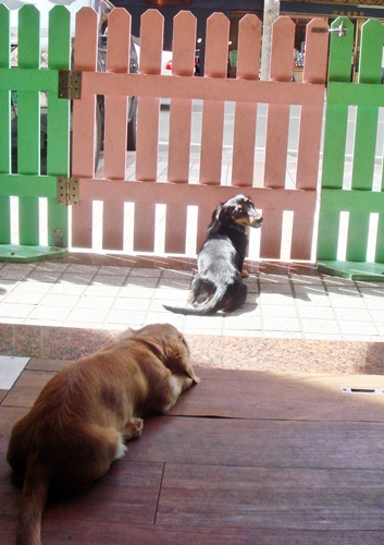 DSC05596.JPG DSC05596.JPG