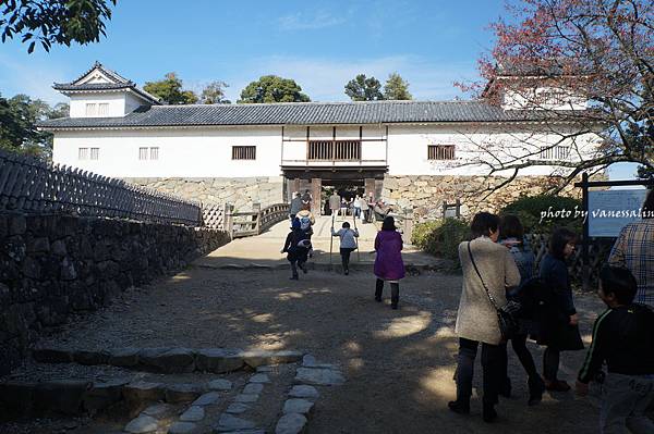 11/16彥根城