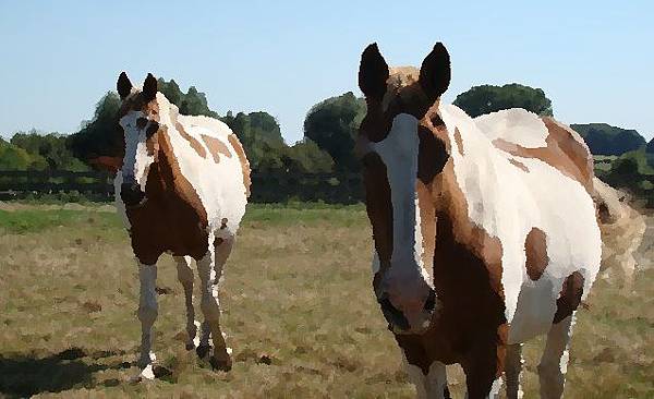 生命之秋 生命之秋