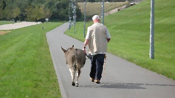 生命之秋 生命之秋