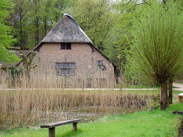 DSC06753.-1JPG DSC06753.-1JPG