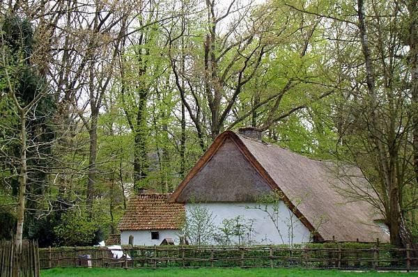 DSC06808-2 DSC06808-2