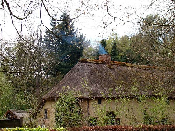 DSC06817-1 DSC06817-1