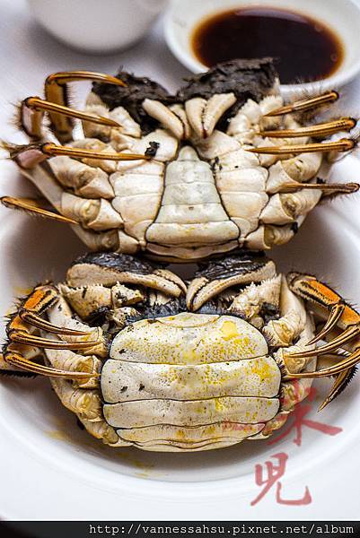 CRAB-1456.jpg CRAB-1456.jpg