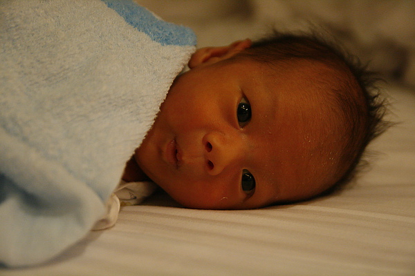 _MG_6433.JPG