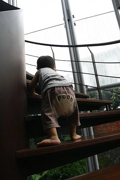 _MG_6331.JPG