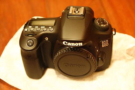 _MG_9539.JPG