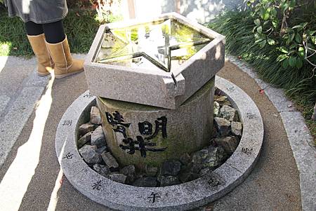 IMG_5595.JPG