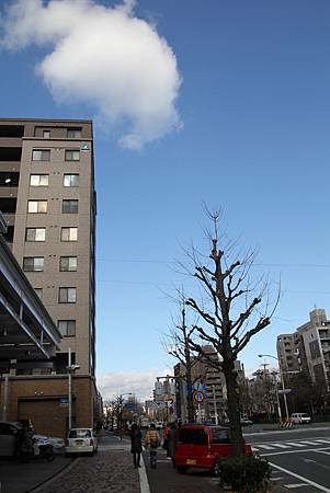 IMG_5654.JPG