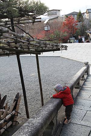 IMG_5773.JPG