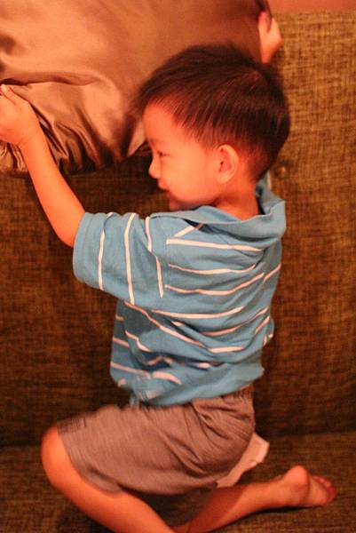 IMG_3188 IMG_3188