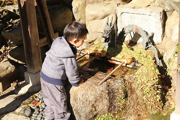 IMG_9015 IMG_9015