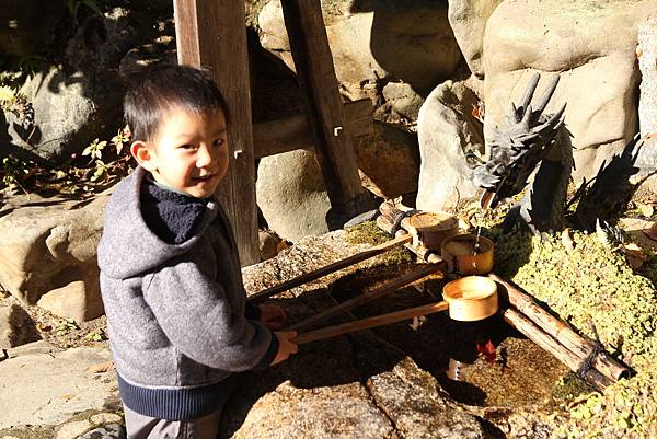 IMG_9020 IMG_9020
