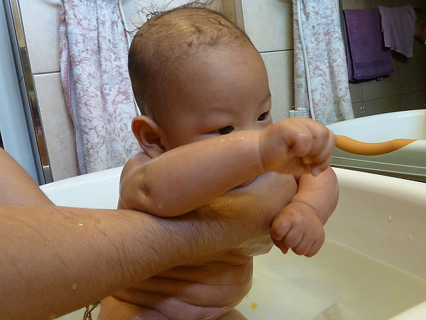 P1000042.JPG