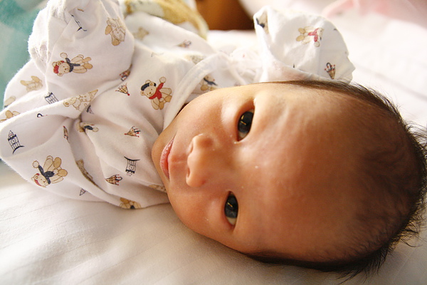 _MG_6376.JPG