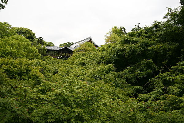 _MG_4126.JPG